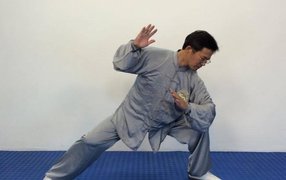 Liming Yue performing the Chen Form Walking Diagonally.